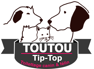 Toutou Tip Top